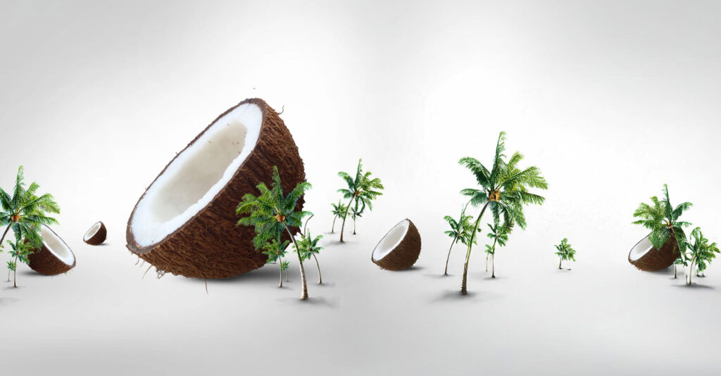 How to Choose the Right Coconut Exporter in Pollachi for Your Business