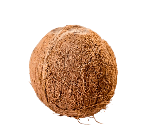 Husked coconut